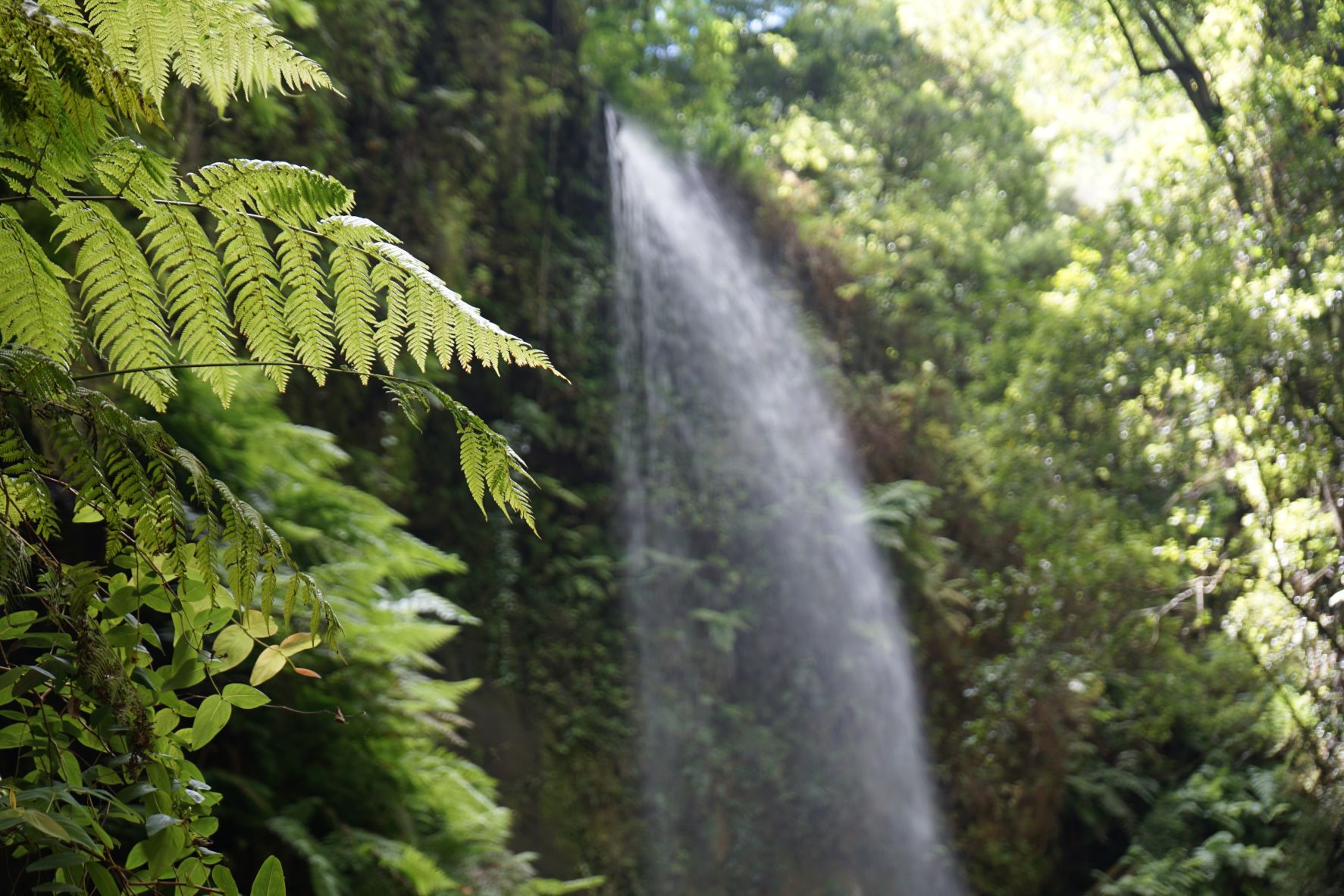 cascada La Palma